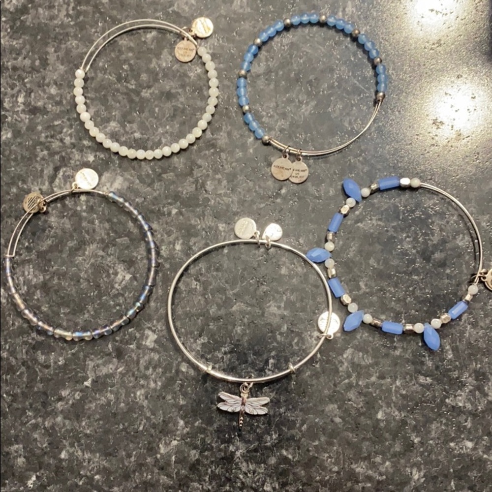Alex and Ani Dragon fly bangle set of 5